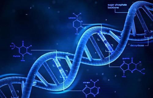 克隆技術(shù) 從喧囂到沉寂，科學(xué)家的解答揭示深層原因